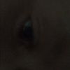 josh_sparks